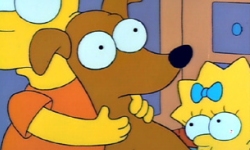 Last Exit To Springfield :: Simpsons Sounds :: Bart's Dog Gets An F