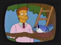 Screengrab thumbnail