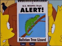 Screengrab thumbnail