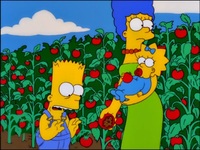 Screengrab thumbnail