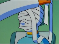 Screengrab thumbnail