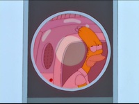 Screengrab thumbnail