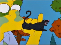 Screengrab thumbnail