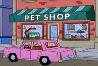 Screengrab thumbnail