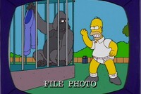 Screengrab thumbnail