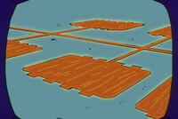 Screengrab thumbnail