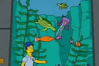 Screengrab thumbnail