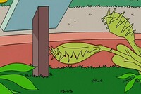 Screengrab thumbnail