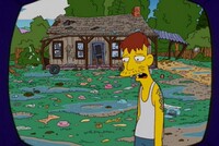 Screengrab thumbnail