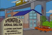 Screengrab thumbnail