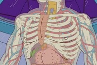 Screengrab thumbnail