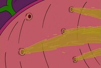 Screengrab thumbnail