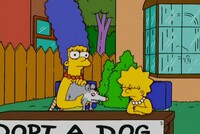 Screengrab thumbnail