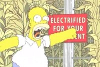 Screengrab thumbnail
