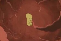 Screengrab thumbnail