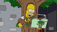 Screengrab thumbnail