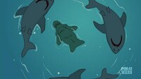Screengrab thumbnail