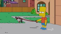 Screengrab thumbnail