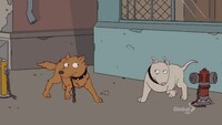Screengrab thumbnail