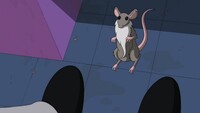Screengrab thumbnail