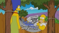 Screengrab thumbnail