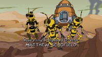Screengrab thumbnail