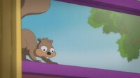 Screengrab thumbnail