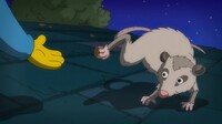 Screengrab thumbnail