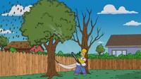 Screengrab thumbnail