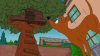 Screengrab thumbnail