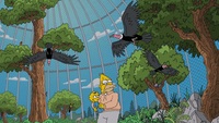 Screengrab thumbnail