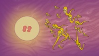 Screengrab thumbnail