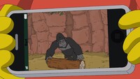 Screengrab thumbnail
