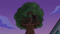 Screengrab thumbnail