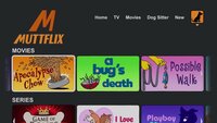 Screengrab thumbnail