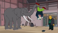 Screengrab thumbnail