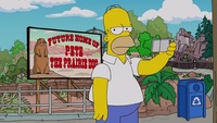Screengrab thumbnail