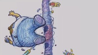 Screengrab thumbnail