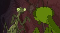 Screengrab thumbnail