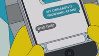 Screengrab thumbnail