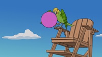 Screengrab thumbnail