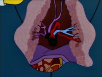 Screengrab thumbnail
