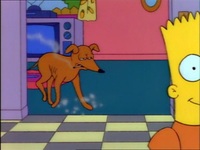 Screengrab thumbnail