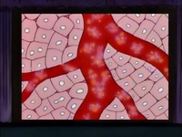 Screengrab thumbnail