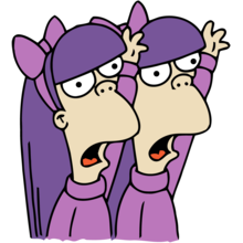 Sherri And Terri