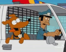 Ratings: Stop Or My Dog Will Shoot